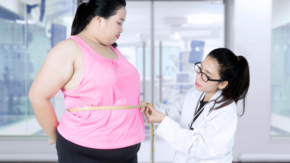 yetişkin-obezitesi-beslenmesi2 yetişkin-obezitesi-beslenmesi2